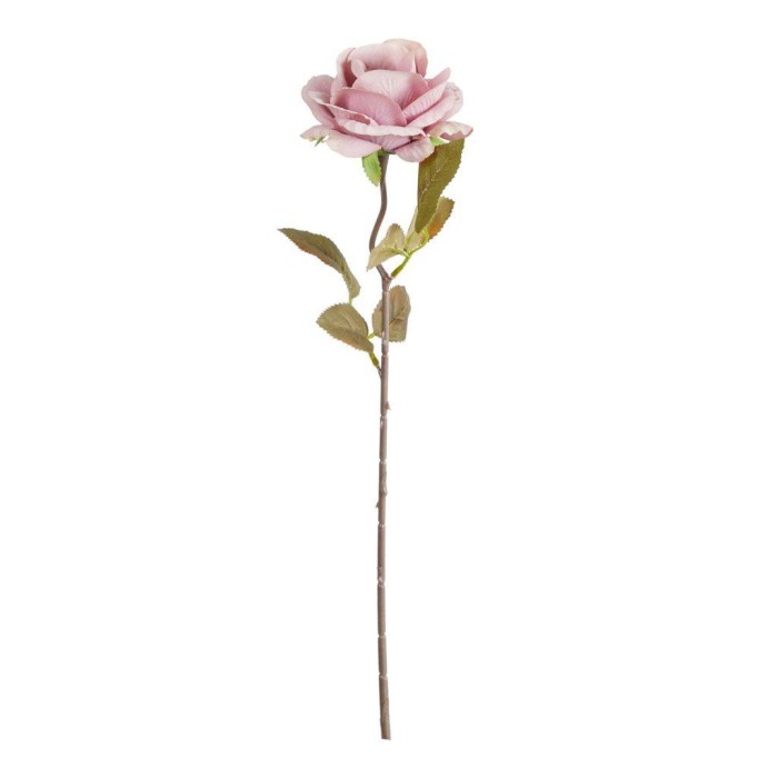 ROSA CORVETTE LAVANDA CM.50